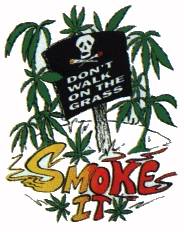 Do hob i nu a poa so büda gfundn! - 