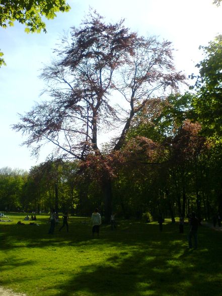 München - eine große Liebe - 