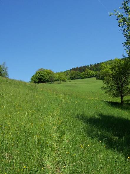 one afternoon in [lower_austria] - 