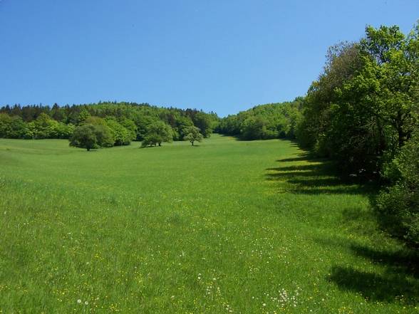 one afternoon in [lower_austria] - 