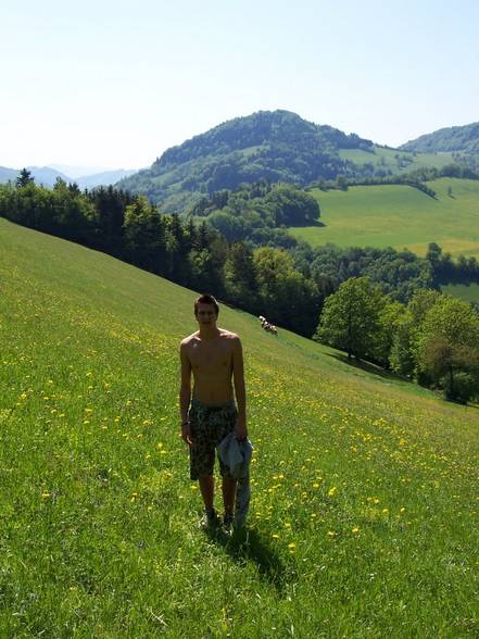 one afternoon in [lower_austria] - 