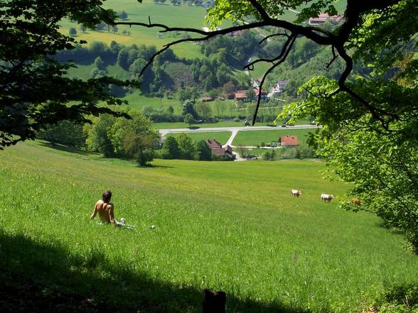 one afternoon in [lower_austria] - 