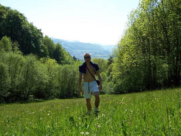 one afternoon in [lower_austria] - 