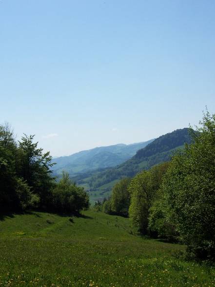 one afternoon in [lower_austria] - 