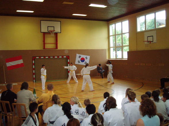 Tae Kwon Do Technikmeisterschaft - 