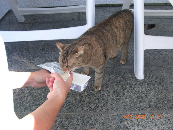 Jeany- Meine süße Maus - 