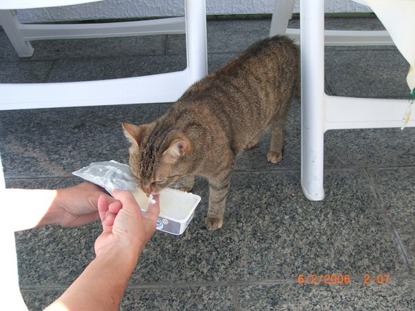 Jeany- Meine süße Maus - 