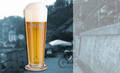 StIeGl DaS lEbEnSeLeXiEr - 