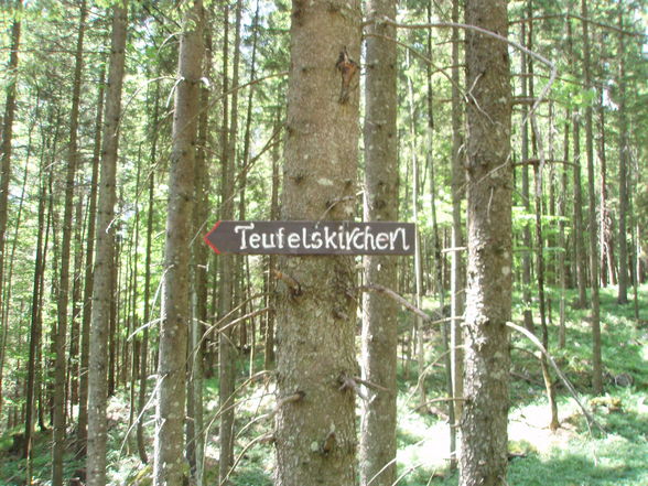 Wanderung im Mai/Juni Teil 2 - 