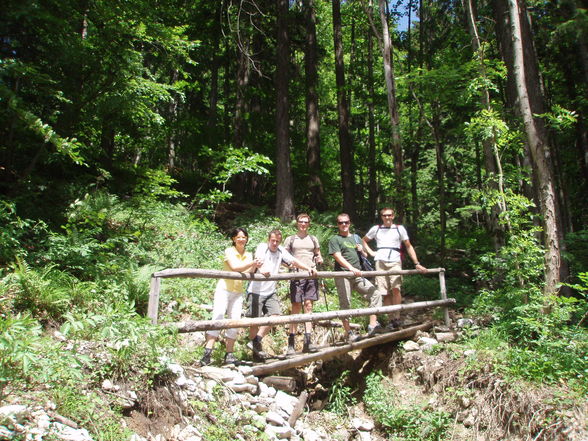 Wanderung im Mai/Juni Teil 2 - 