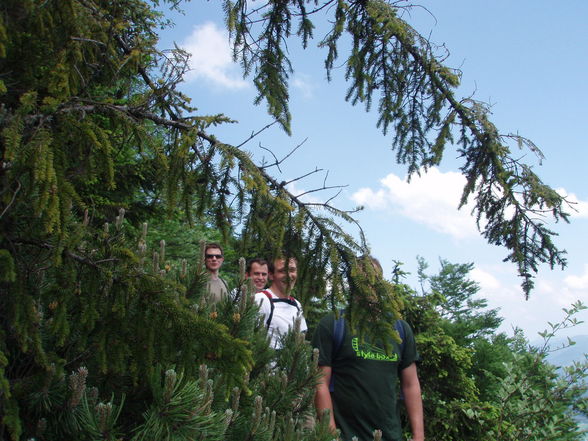 Wanderung im Mai/Juni Teil 2 - 