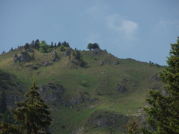 Wanderung im Mai/Juni Teil 2 - 