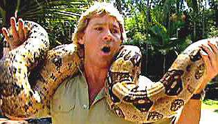 Steve Irwin - 