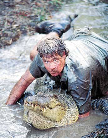 Steve Irwin - 