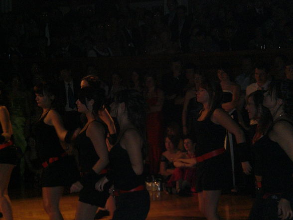 HLW BALL 2008 - 