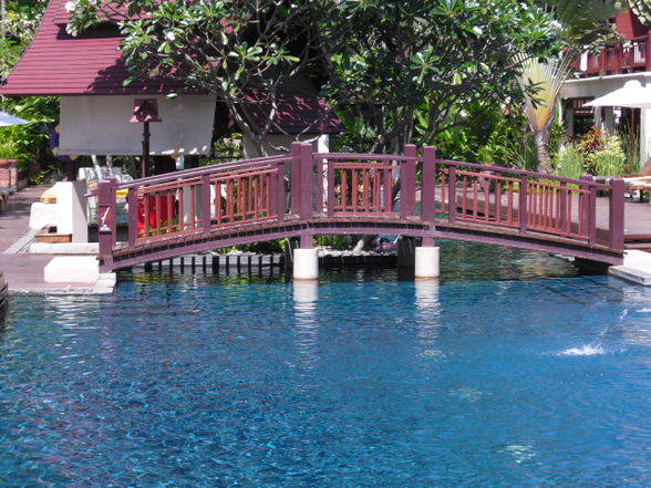 bangkok und Koh Samui 2010 - 