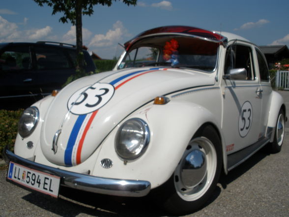 herby - 