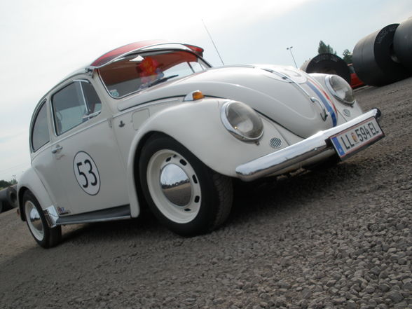 herby - 