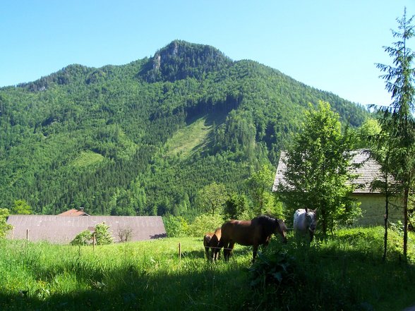 Schüttbauernalm 19.05-20.05 - 