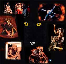 Cats - 