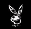 Playboybunnys - 