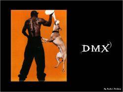 DMX - 