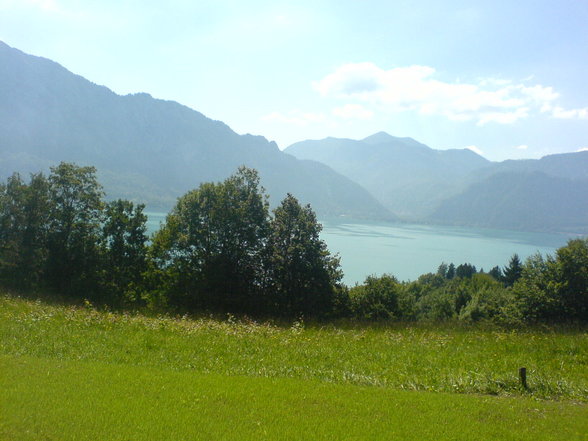 hauptsoch attersee - 