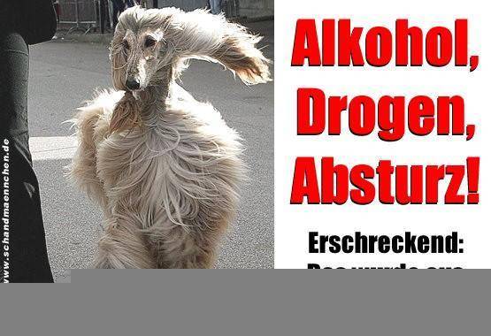 Lustiges!!! - 