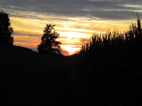 wunderschöne sonnenuntergänge - 