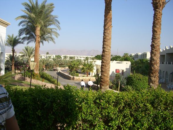 Urlaub Sharm El Sheikh - 