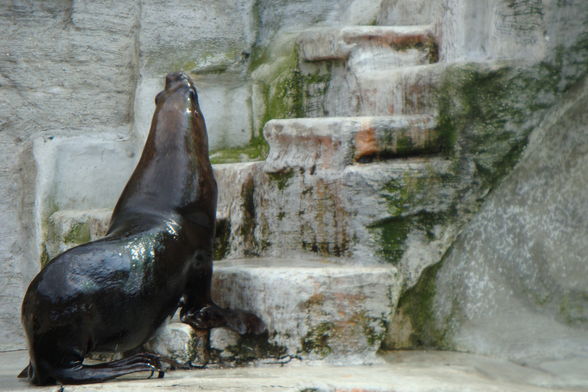 Tierpark Schönbrun - 