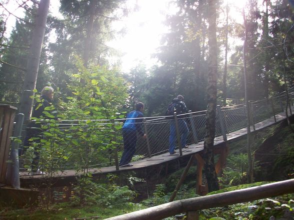 Ausflug Baumkronenweg - 