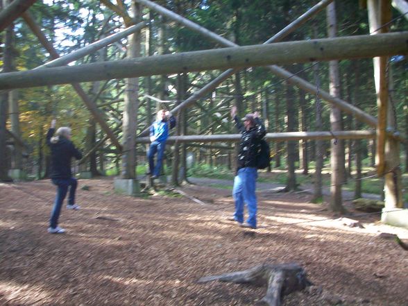 Ausflug Baumkronenweg - 