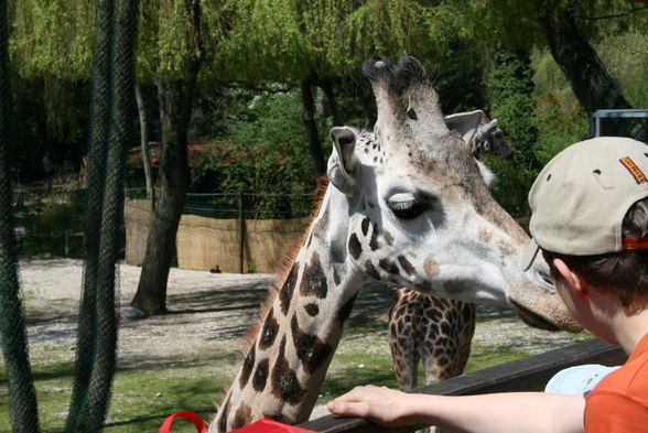 Schmidinger Zoo - 