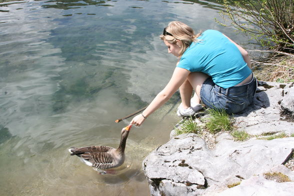 Grünau im Almtal - 