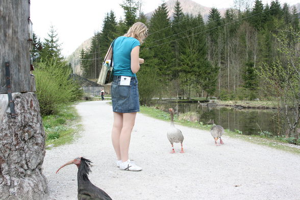 Grünau im Almtal - 