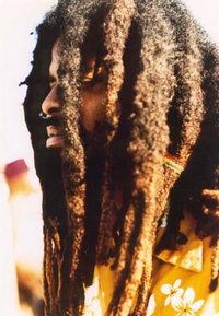 Dreads - 