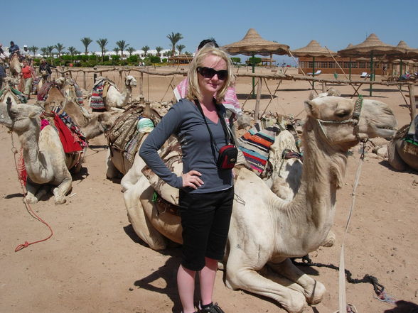 Sharm el Sheikh 2009 - 