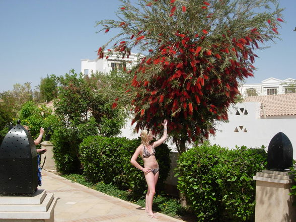 Sharm el Sheikh 2009 - 