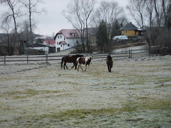 weihnachtsferien - 