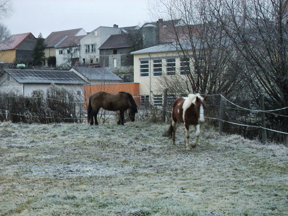 weihnachtsferien - 