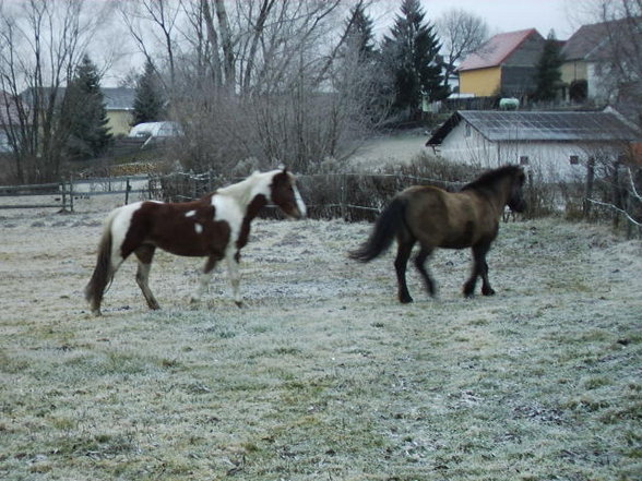 weihnachtsferien - 