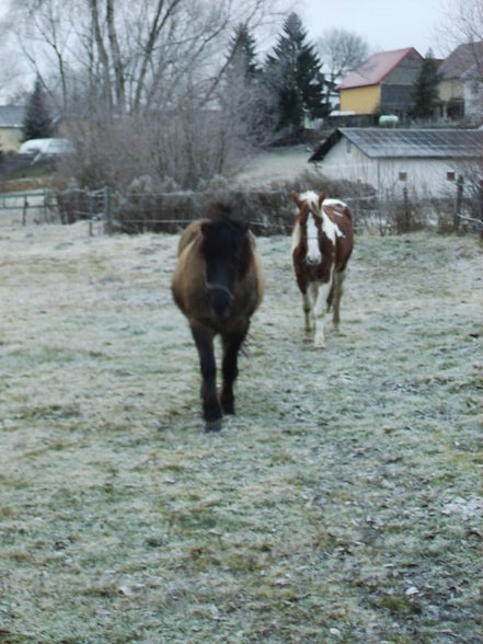 weihnachtsferien - 