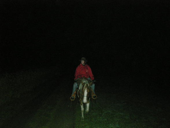 sommer 07 - 