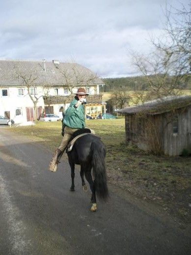 Neues von der Grünen Weide - 