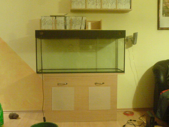 Mein Aquarium - 