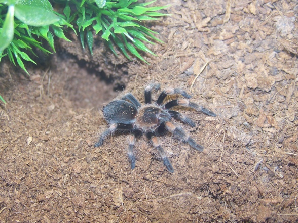 Meine kleine Smithi..... - 