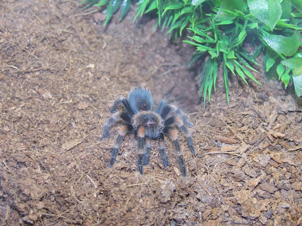 Meine kleine Smithi..... - 