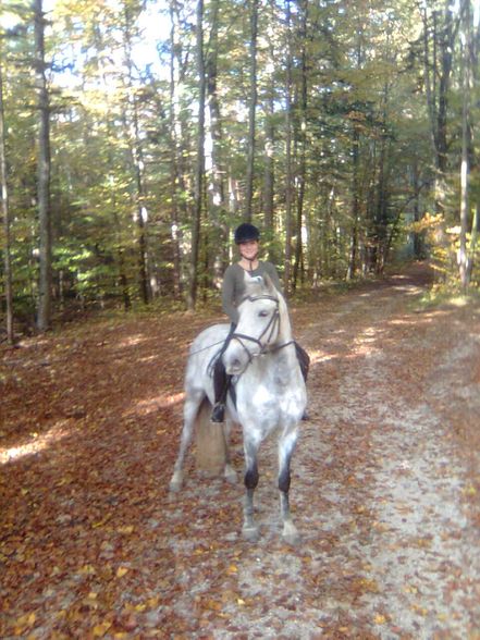 Fotos vom reiten und va unsre vicha - 