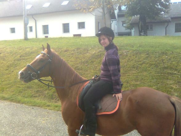 Fotos vom reiten und va unsre vicha - 